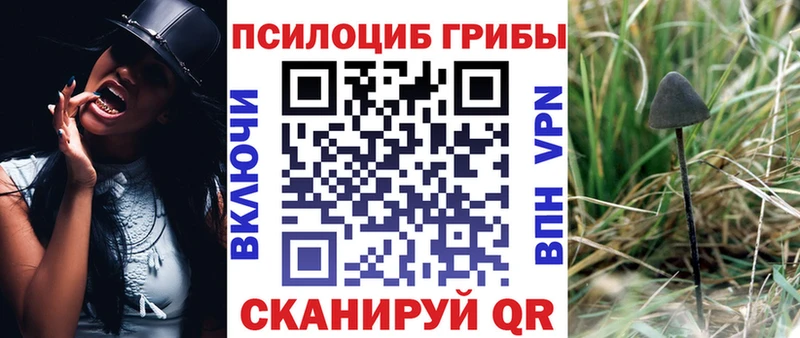 Галлюциногенные грибы Psilocybe  Партизанск 